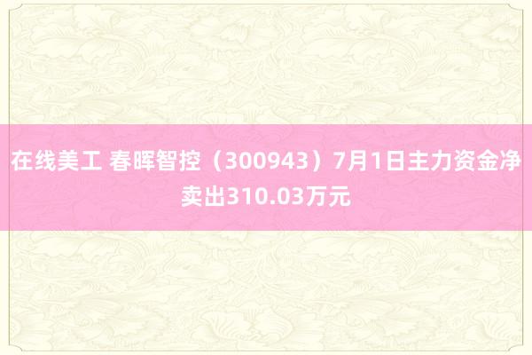 在线美工 春晖智控（300943）7月1日主力资金净卖出310.03万元