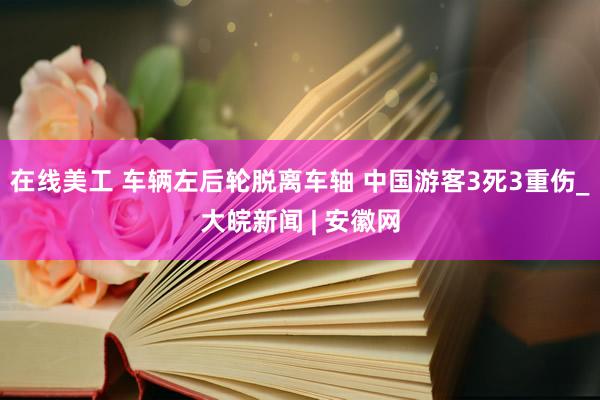 在线美工 车辆左后轮脱离车轴 中国游客3死3重伤_大皖新闻 | 安徽网