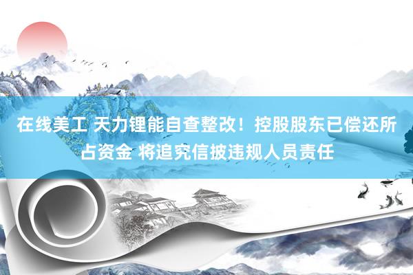 在线美工 天力锂能自查整改！控股股东已偿还所占资金 将追究信披违规人员责任