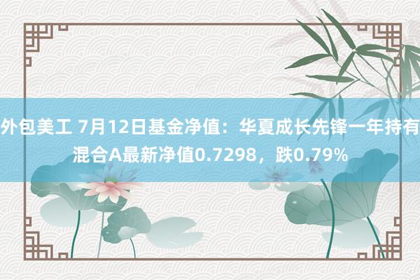 外包美工 7月12日基金净值：华夏成长先锋一年持有混合A最新净值0.7298，跌0.79%