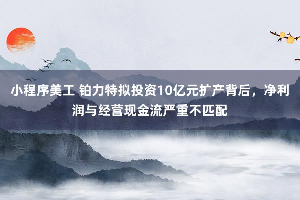 小程序美工 铂力特拟投资10亿元扩产背后，净利润与经营现金流严重不匹配