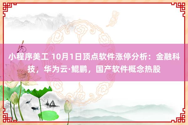 小程序美工 10月1日顶点软件涨停分析：金融科技，华为云·鲲鹏，国产软件概念热股